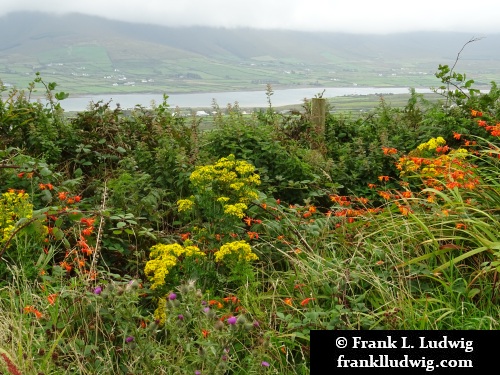 Valentia Island